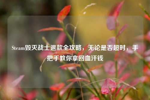 Steam毁灭战士退款全攻略,无论是否超时,手把手教你拿回血汗钱