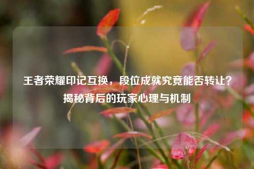 王者荣耀印记互换,段位成就究竟能否转让?揭秘背后的玩家心理与机制