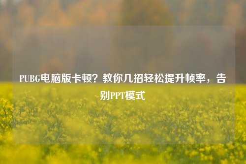 PUBG电脑版卡顿?教你几招轻松提升帧率,告别PPT模式