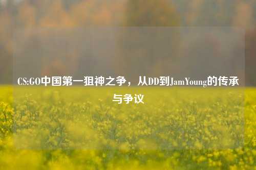 CS:GO中国第一狙神之争,从DD到JamYoung的传承与争议