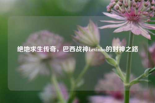 绝地求生传奇,巴西战神Levinho的封神之路