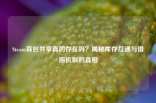 Steam背包共享真的存在吗?揭秘库存互通与借用机制的真相