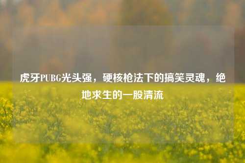 虎牙PUBG光头强,硬核枪法下的搞笑灵魂,绝地求生的一股清流