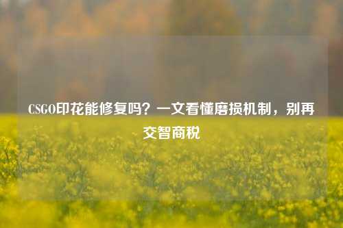 CSGO印花能修复吗?一文看懂磨损机制,别再交智商税