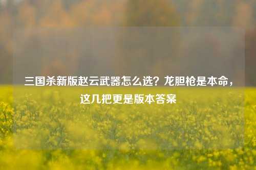三国杀新版赵云武器怎么选?龙胆枪是本命,这几把更是版本答案