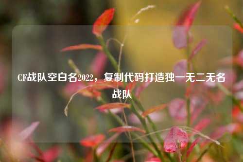 CF战队空白名2022,复制代码打造独一无二无名战队