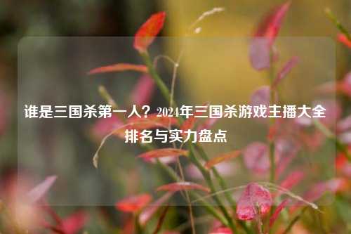 谁是三国杀第一人?2024年三国杀游戏主播大全排名与实力盘点