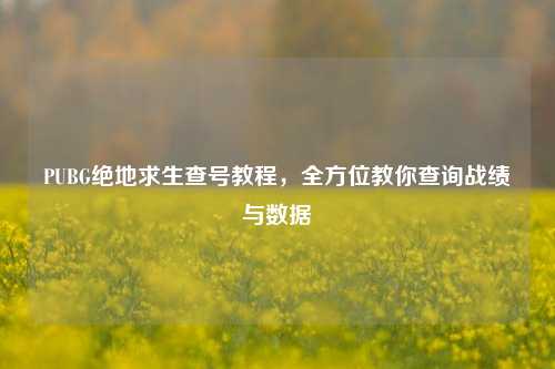 PUBG绝地求生查号教程,全方位教你查询战绩与数据