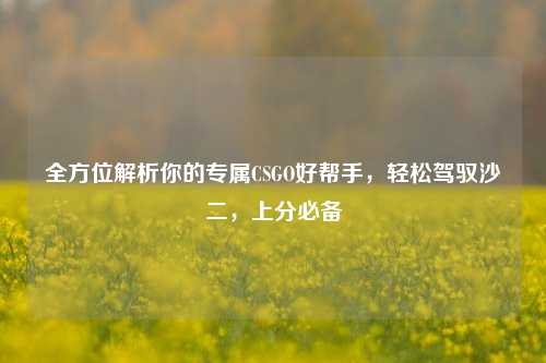 全方位解析你的专属CSGO好帮手,轻松驾驭沙二,上分必备