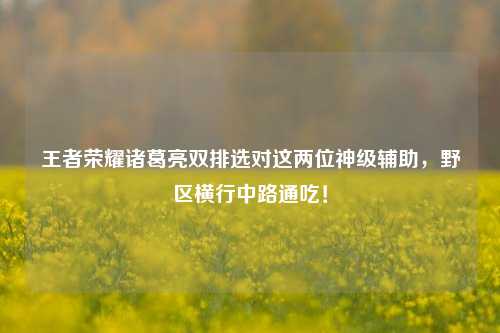 王者荣耀诸葛亮双排选对这两位神级辅助,野区横行中路通吃!