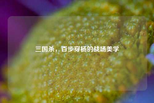 三国杀,百步穿杨的战场美学