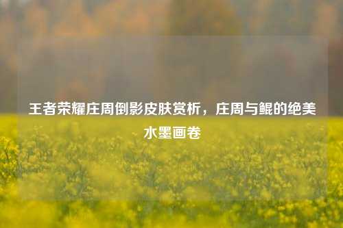王者荣耀庄周倒影皮肤赏析,庄周与鲲的绝美水墨画卷
