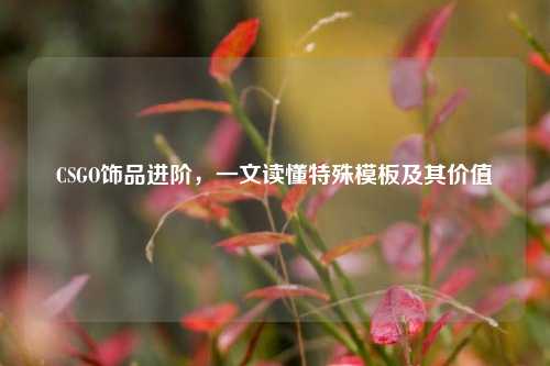 CSGO饰品进阶,一文读懂特殊模板及其价值