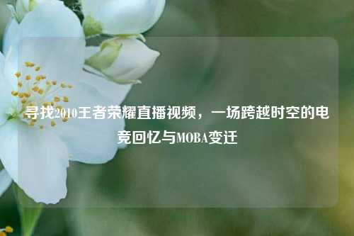 寻找2010王者荣耀直播视频,一场跨越时空的电竞回忆与MOBA变迁
