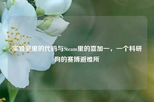 实验室里的代码与Steam里的喜加一,一个科研狗的赛博避难所