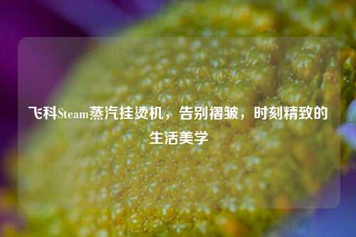 飞科Steam蒸汽挂烫机,告别褶皱,时刻精致的生活美学