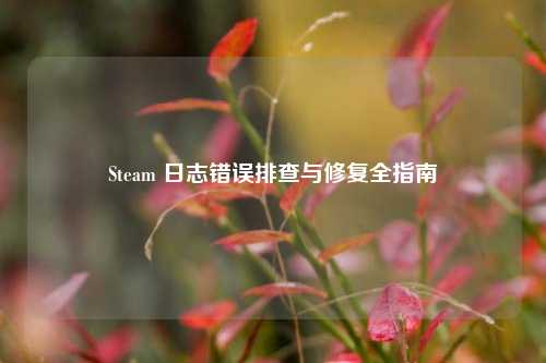 Steam 日志错误排查与修复全指南