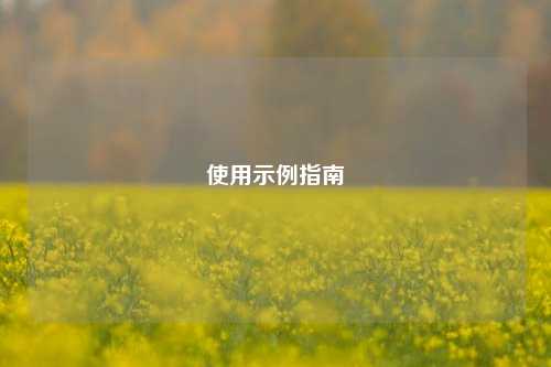 使用示例指南