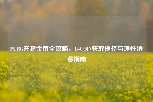 PUBG开箱金币全攻略,G-COIN获取途径与理性消费指南