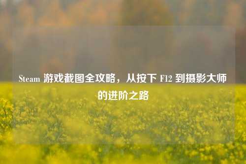 Steam 游戏截图全攻略,从按下 F12 到摄影大师的进阶之路