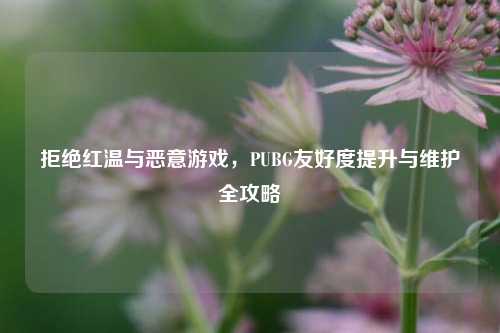 拒绝红温与恶意游戏,PUBG友好度提升与维护全攻略