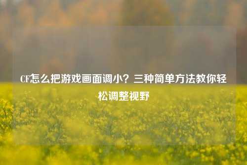 CF怎么把游戏画面调小?三种简单方法教你轻松调整视野