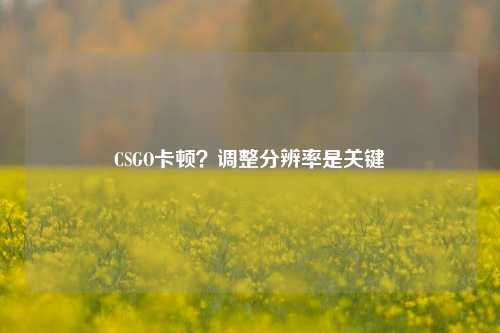 CSGO卡顿?调整分辨率是关键