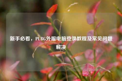 新手必看，PUBG外服电脑登录教程及常见问题解决