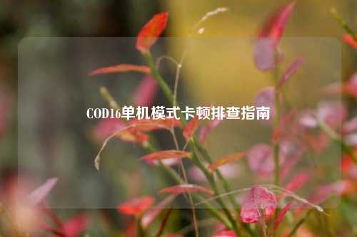 COD16单机模式卡顿排查指南