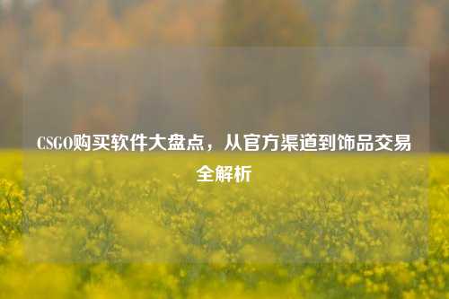 CSGO购买软件大盘点,从官方渠道到饰品交易全解析