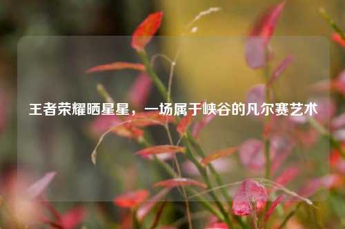 王者荣耀晒星星,一场属于峡谷的凡尔赛艺术