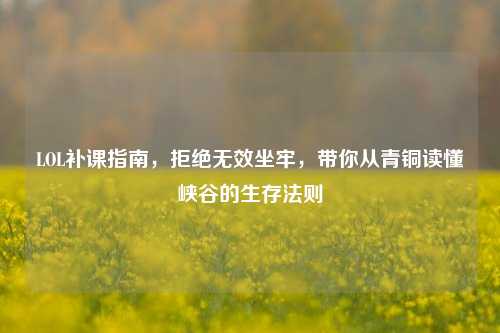 LOL补课指南,拒绝无效坐牢,带你从青铜读懂峡谷的生存法则