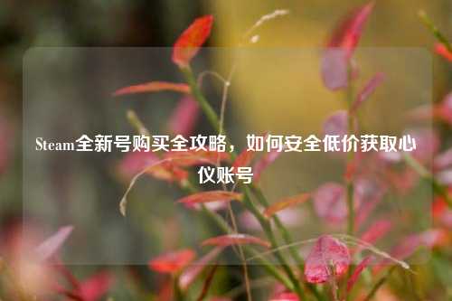 Steam全新号购买全攻略,如何安全低价获取心仪账号