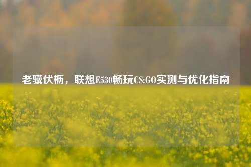 老骥伏枥,联想E530畅玩CS:GO实测与优化指南