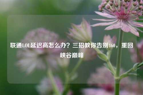 联通LOL延迟高怎么办?三招教你告别460,重回峡谷巅峰