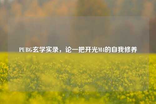 PUBG玄学实录,论一把开光M4的自我修养