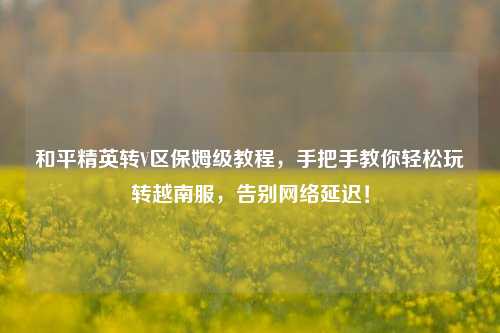 和平精英转V区保姆级教程,手把手教你轻松玩转越南服,告别网络延迟!