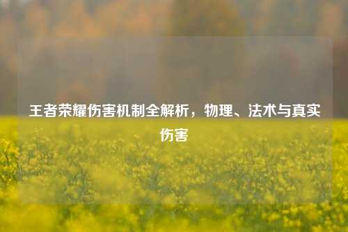 王者荣耀伤害机制全解析,物理、法术与真实伤害