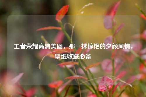 王者荣耀高清美图,那一抹惊艳的夕颜风情,壁纸收藏必备