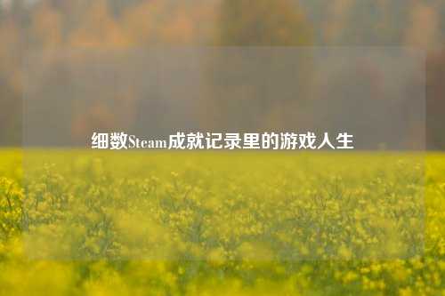 细数Steam成就记录里的游戏人生
