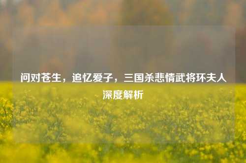问对苍生,追忆爱子,三国杀悲情武将环夫人深度解析