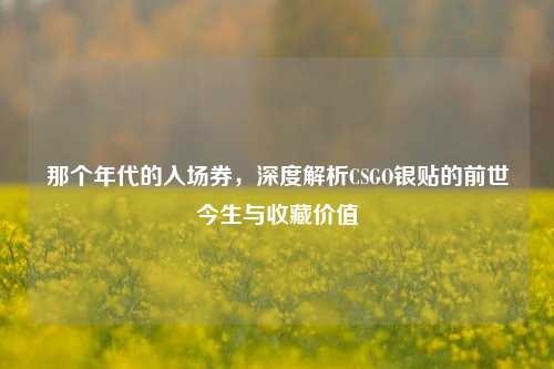 那个年代的入场券,深度解析CSGO银贴的前世今生与收藏价值
