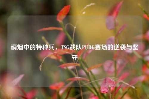 硝烟中的特种兵,TSG战队PUBG赛场的逆袭与坚守