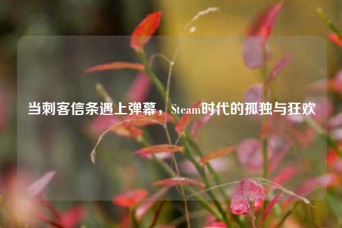 当刺客信条遇上弹幕,Steam时代的孤独与狂欢