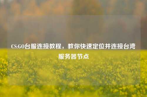CS:GO台服连接教程,教你快速定位并连接台湾服务器节点