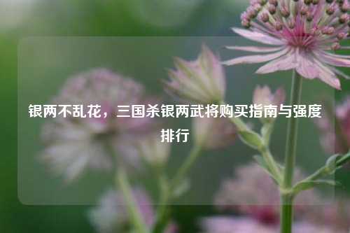 银两不乱花,三国杀银两武将购买指南与强度排行