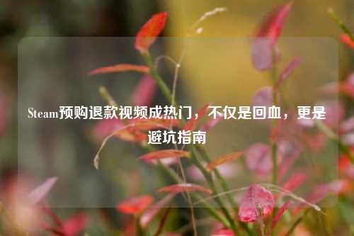 Steam预购退款视频成热门,不仅是回血,更是避坑指南