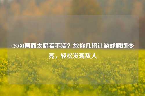 CS:GO画面太暗看不清?教你几招让游戏瞬间变亮,轻松发现敌人