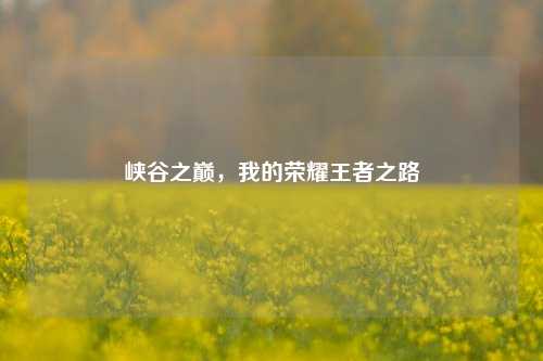 峡谷之巅,我的荣耀王者之路