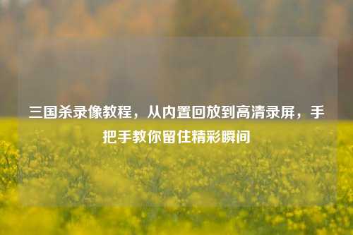 三国杀录像教程,从内置回放到高清录屏,手把手教你留住精彩瞬间